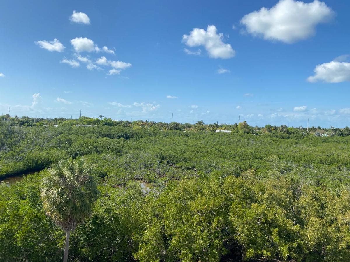 Condo for rent at 3655 Seaside Dr #423, Key West, FL 33040