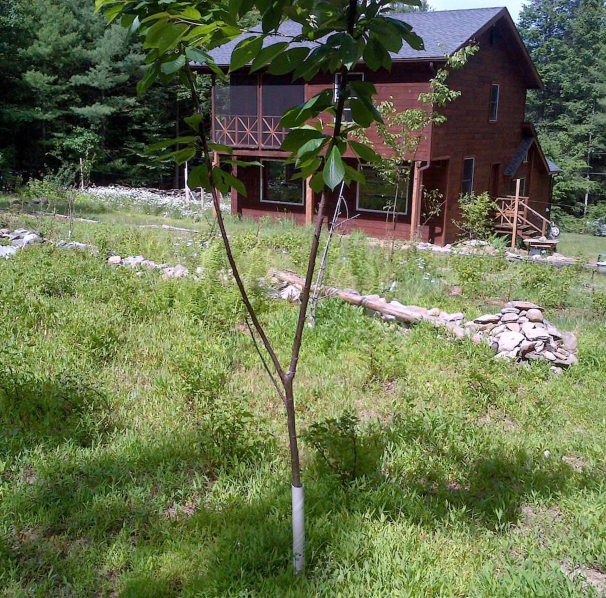 Apartment for rent at 43 Indian Rd #BOTTOM Floor, Kerhonkson, NY 12446