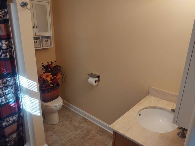 House for rent at 440 Barrenwood Dr, Wadsworth, OH 44281