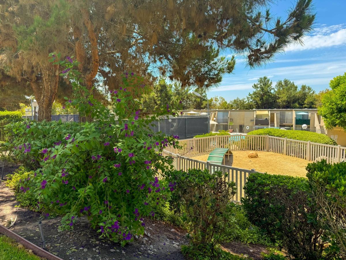 Heatherwood Apartmements, 5333 Baltimore Dr, La Mesa, CA 91942 - Apartment for Rent - Image 8