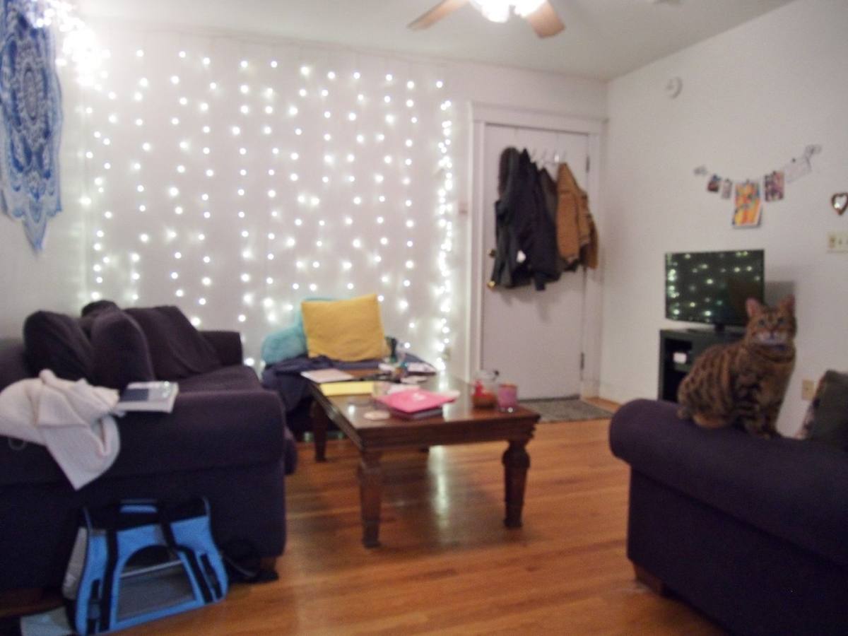 House for rent at 21 Egremont Rd #2, Brighton, MA 02135
