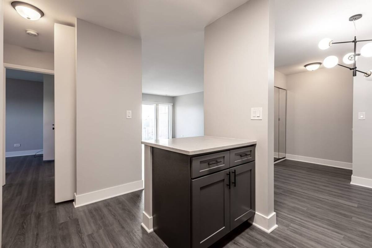 Apartment for rent at 1005-1037 Des Plaines Ave, Forest Park, IL 60130