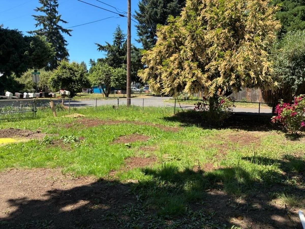 Apartment for rent at 1645 Mississippi Ave, Eugene, OR 97403