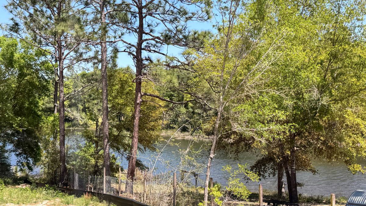 House for rent at 719 Windflower St, Defuniak Springs, FL 32433