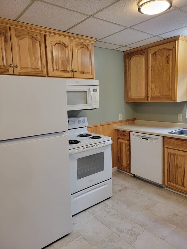 Apartment for rent at 60 Birch Ave S, Maple Lake, MN 55358