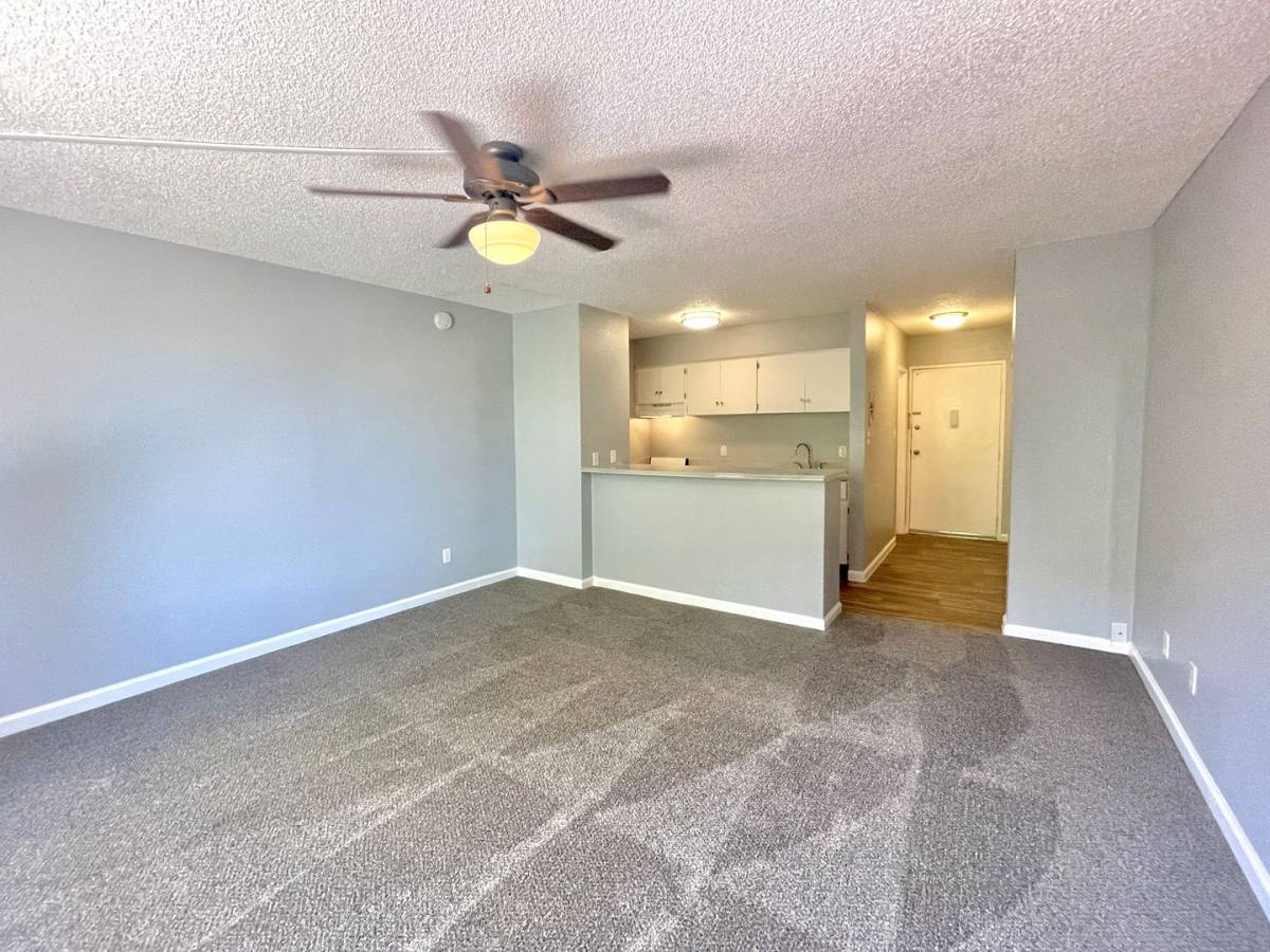 Apartment for rent at 1025 Sierra Vista Dr, Las Vegas, NV 89169