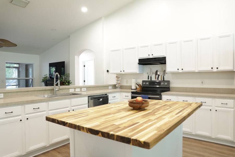 House for rent at 1511 McCrea Dr, Lutz, FL 33549