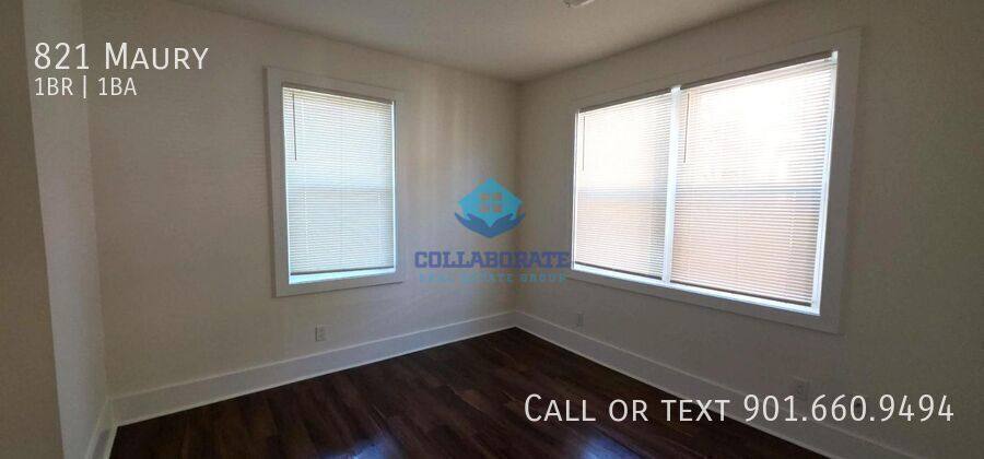 Apartment for rent at 821 Maury, Memphis, TN 38107