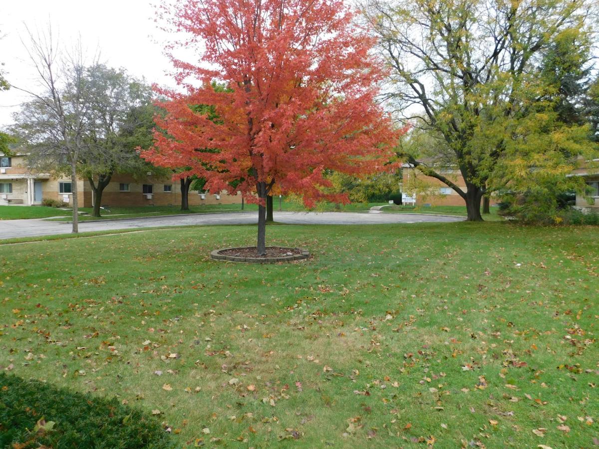 Apartment for rent at 2910 E Bolivar Ave, Saint Francis, WI 53235