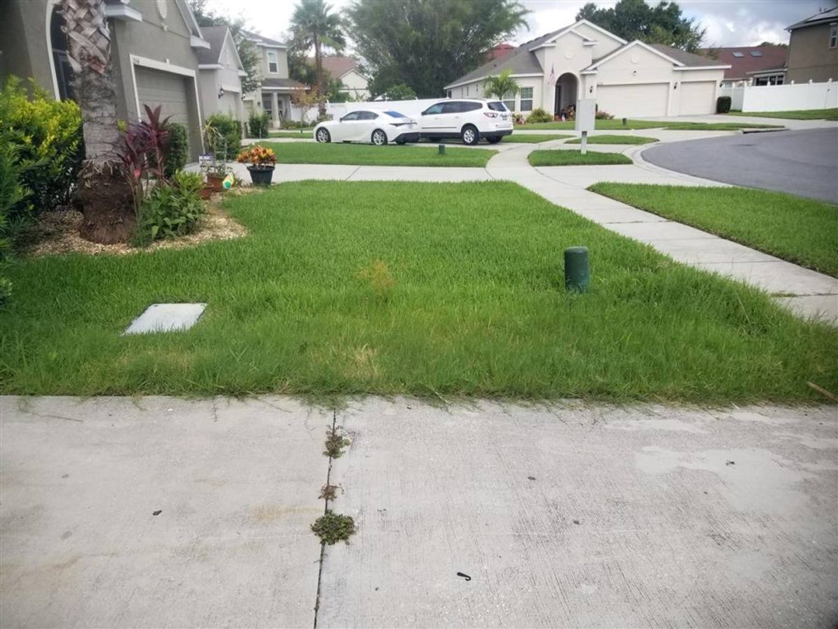 House for rent at 2556 Tanner Terrace, Kissimmee, FL 34743