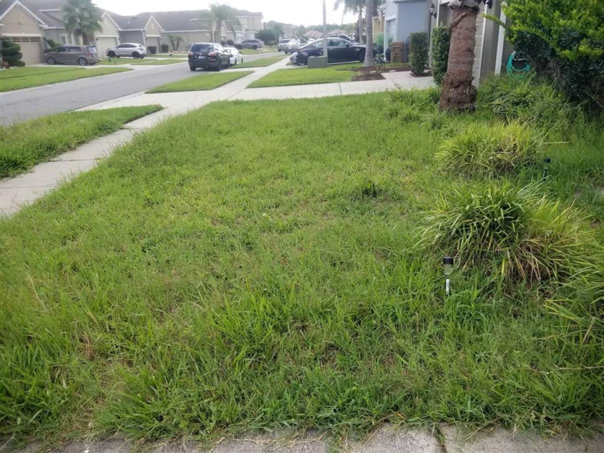 House for rent at 2556 Tanner Terrace, Kissimmee, FL 34743
