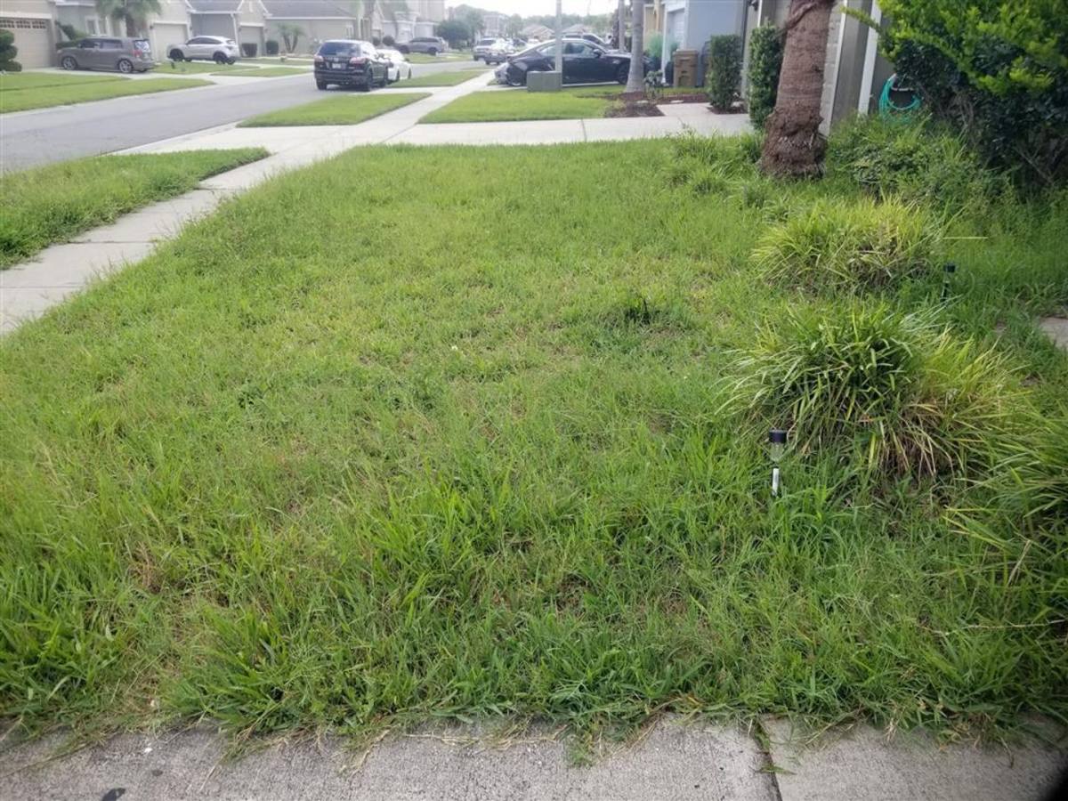 House for rent at 2556 Tanner Terrace, Kissimmee, FL 34743