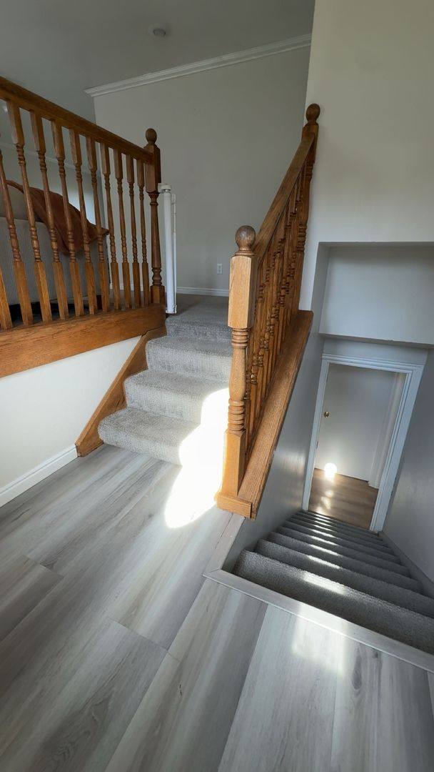 House for rent at 247 N Cove Dr, Cedar City, UT 84720