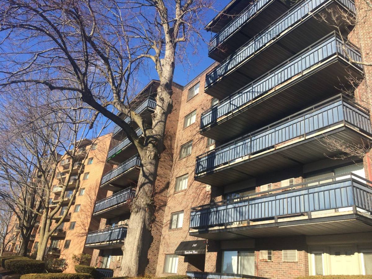 Apartment for rent at 24 Whites Ave #3, Watertown, MA 02472