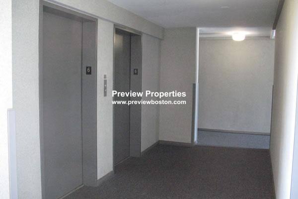 Apartment for rent at 1455 Commonwealth Ave #302P, Brighton, MA 02135