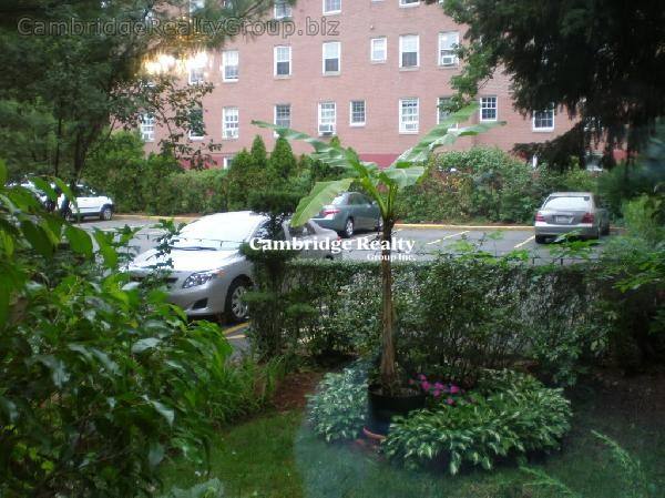 Apartment for rent at 53 Parkman St #2T, Brookline, MA 02446