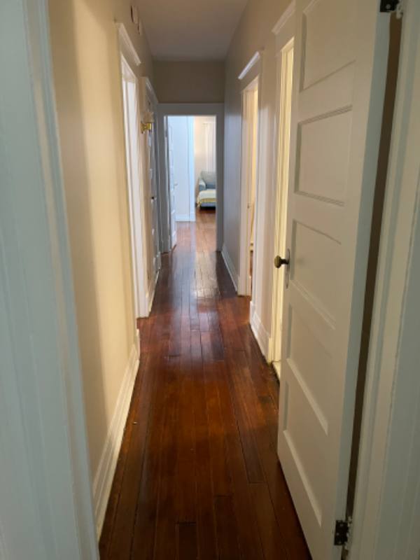 Apartment for rent at 123 N Allen St #1, Albany, NY 12203