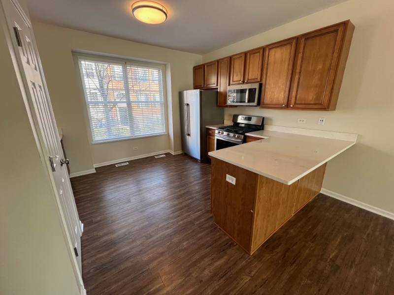Condo for rent at 159 Willey St, Gilberts, IL 60136