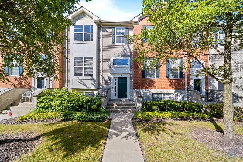 Condo for rent at 159 Willey St, Gilberts, IL 60136