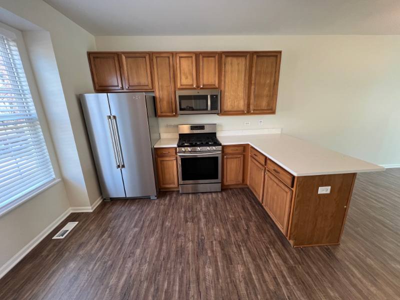 Condo for rent at 159 Willey St, Gilberts, IL 60136