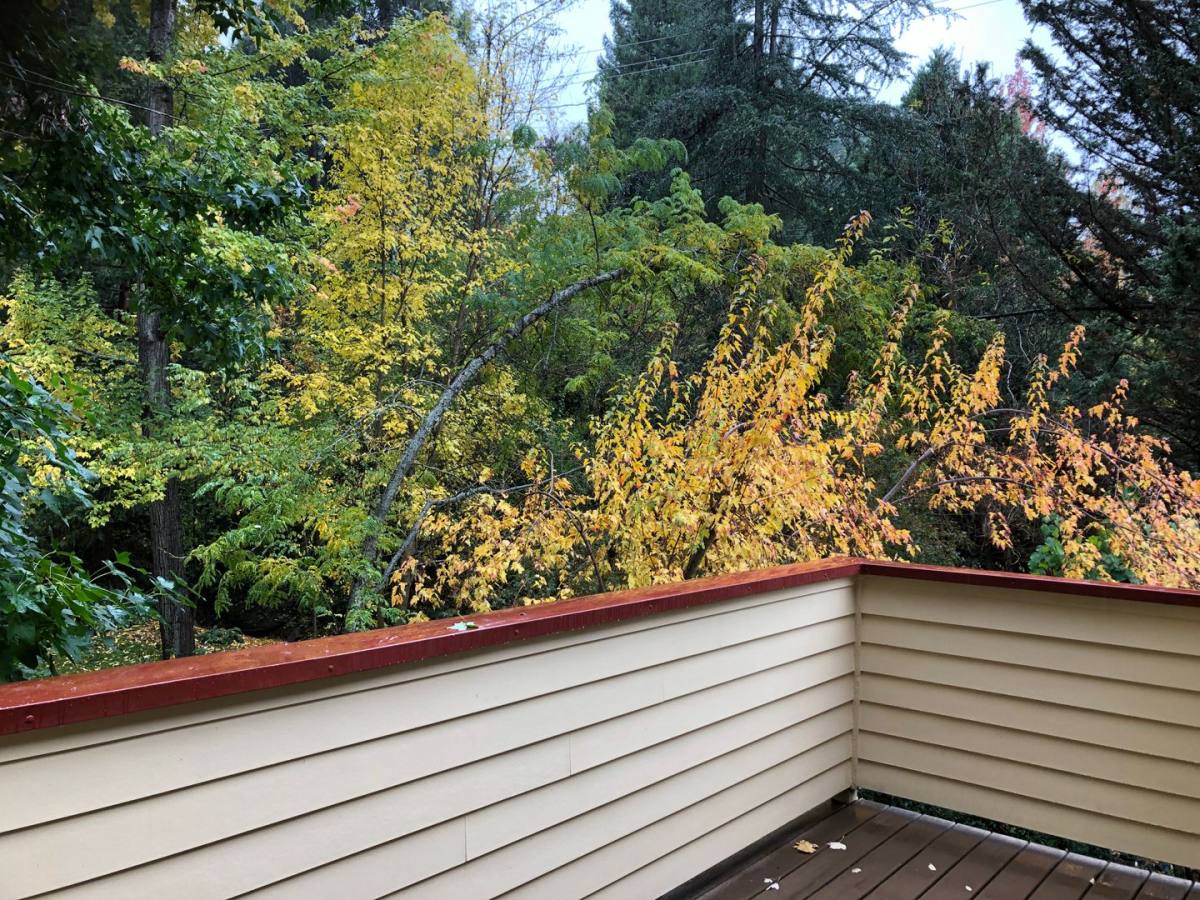 Condo for rent at 308 Bridge Way, Nevada City, CA 95959