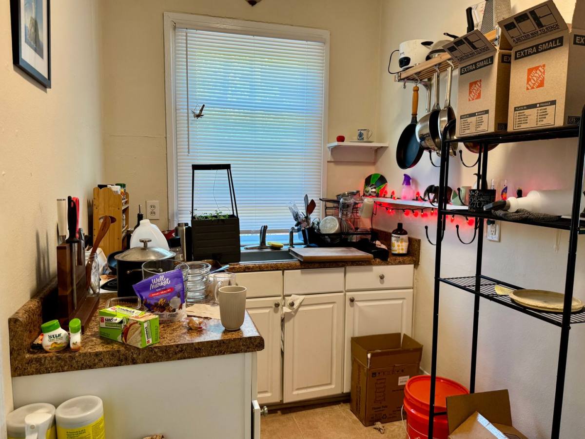 Apartment for rent at 123 Brooks Ave, Raleigh, NC 27607