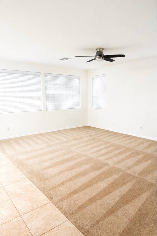 House for rent at 10040 E Tiburon Ave, Mesa, AZ 85212