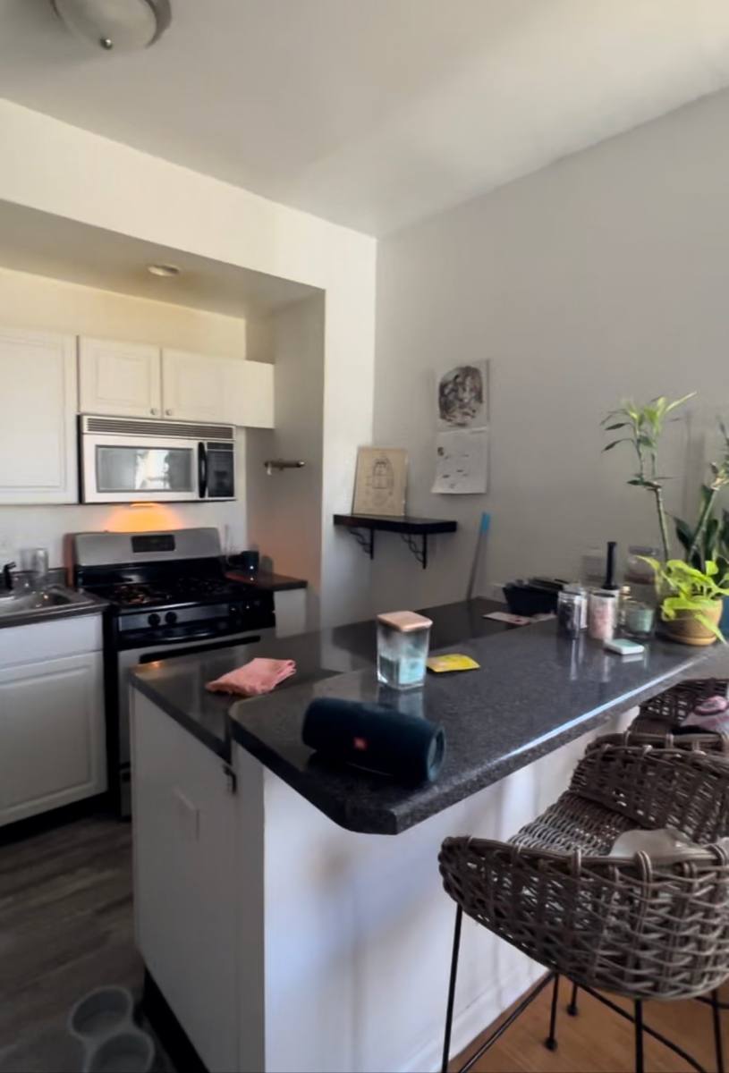 Apartment for rent at 507 W Green St #C, Urbana, IL 61801
