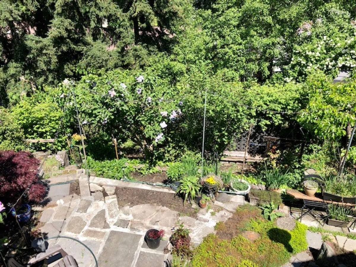 Apartment for rent at 414 Raye St, Seattle, WA 98109