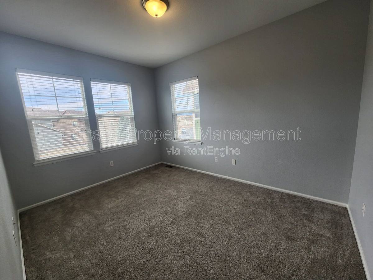 House for rent at 1969 Fairway Pointe Dr, Erie, CO 80516