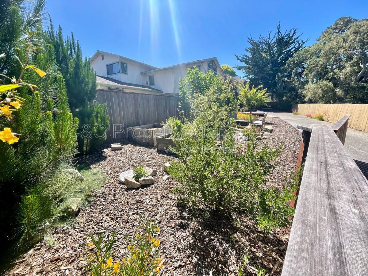 House for rent at 1339 David Ave, Pacific Grove, CA 93950