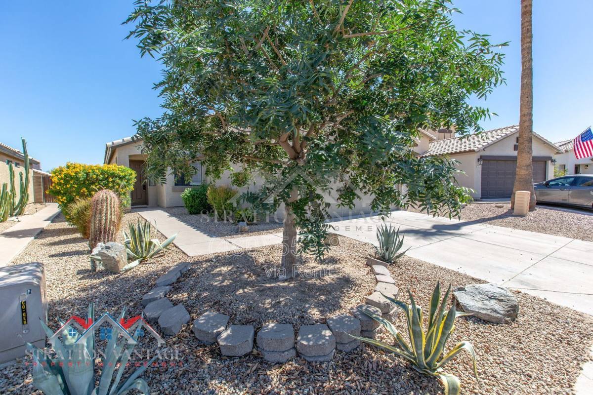 House for rent at 2105 E Donald Dr, Phoenix, AZ 85024