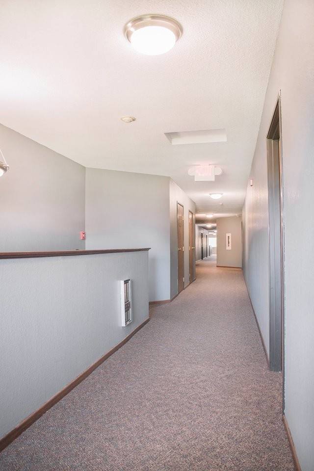 Apartment for rent at 4075 Tower St, Saint Bonifacius, MN 55375