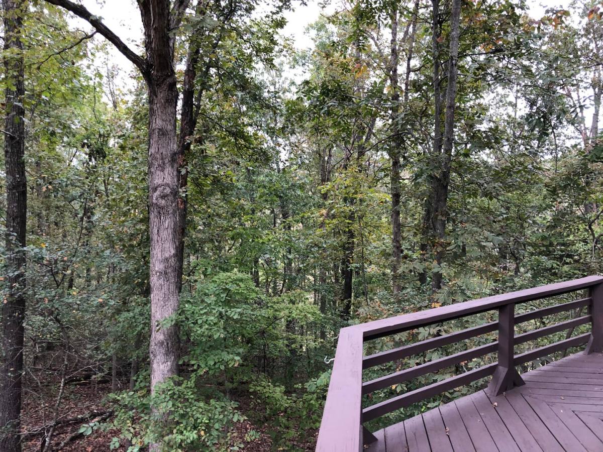 House for rent at 6 Netherton, Bella Vista, AR 72715
