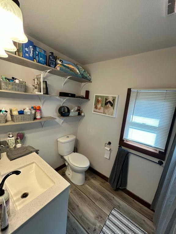 House for rent at 301 Mound Park Dr, Elk Mound, WI 54739