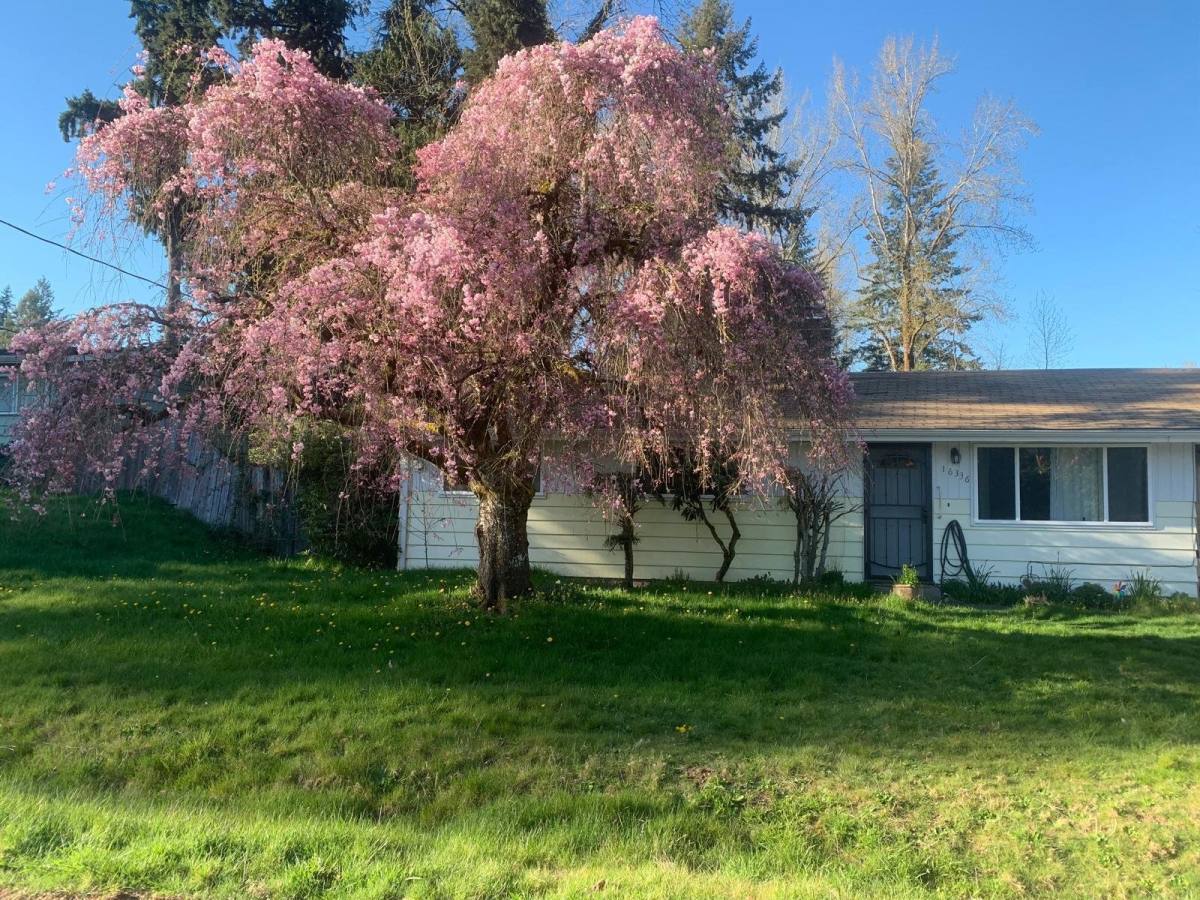 House for rent at 16336 SE 131st Place, Renton, WA 98059