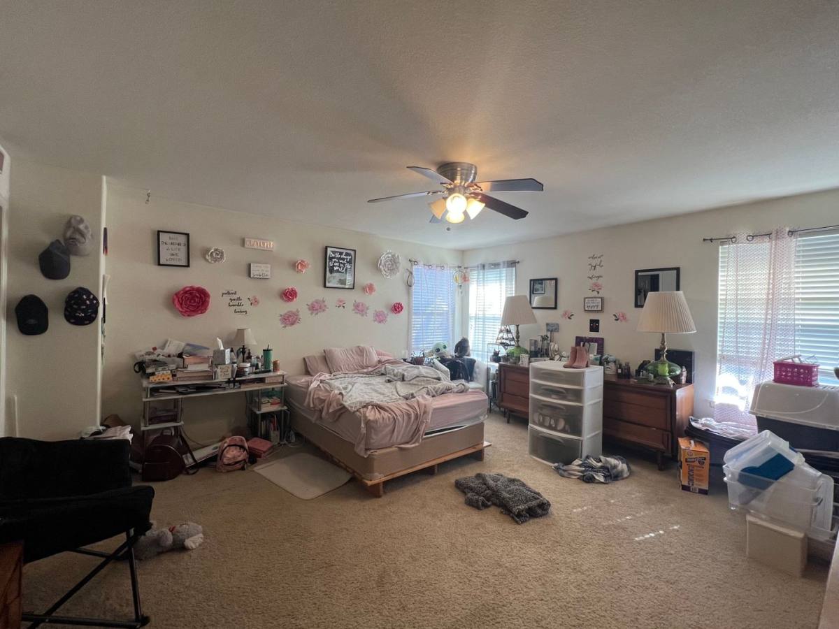 House for rent at 187 McAfee Circle, Erie, CO 80516