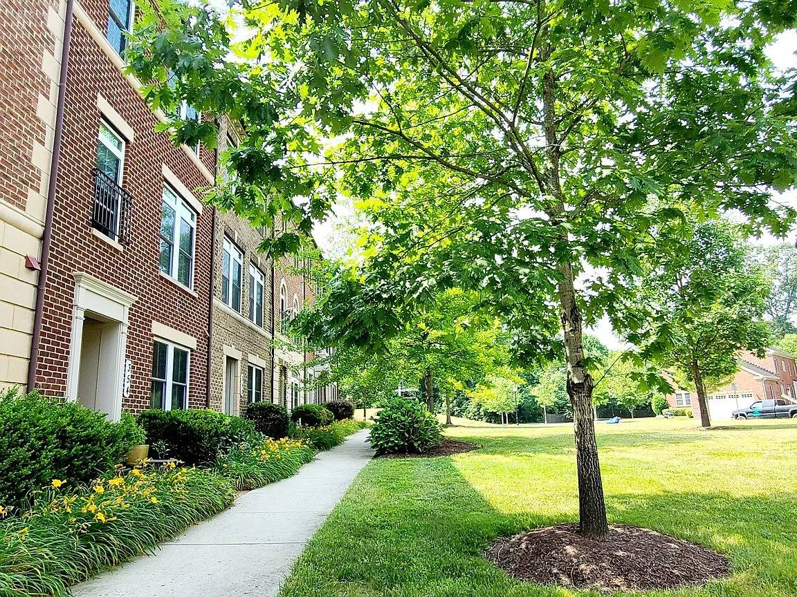 Townhouse for rent at 342 White Ash Place, Gaithersburg, MD 20878