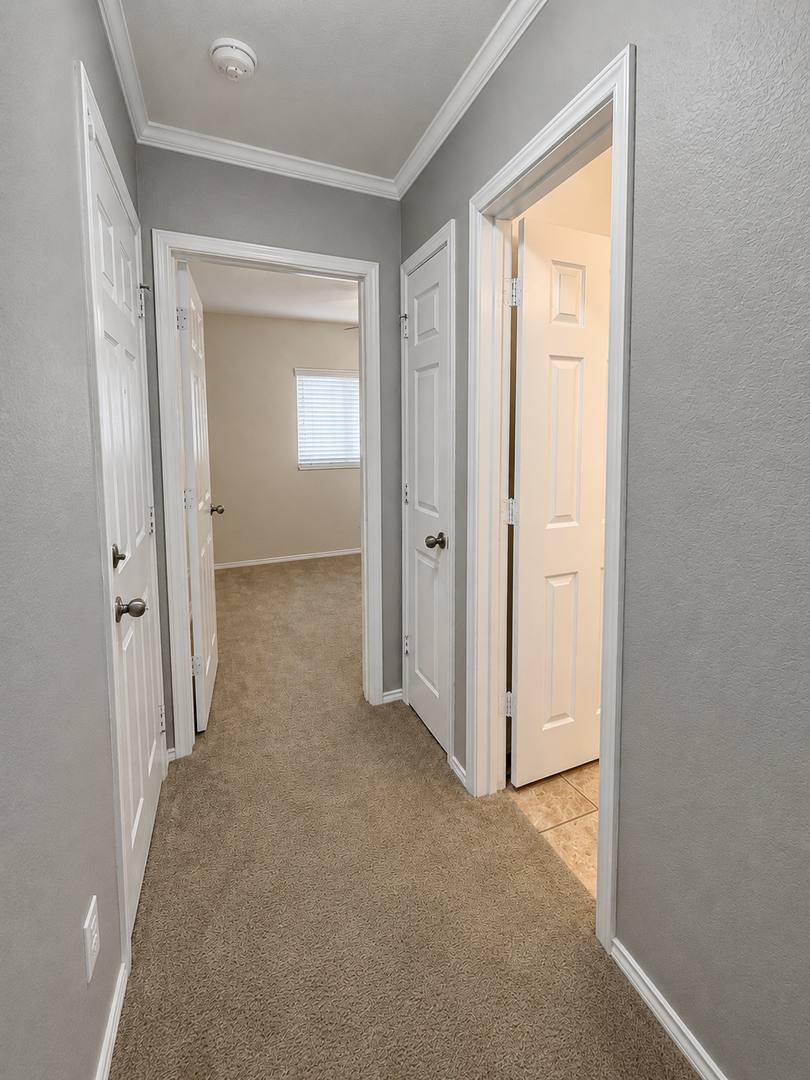 House for rent at 331 Palma Noce, San Antonio, TX 78253