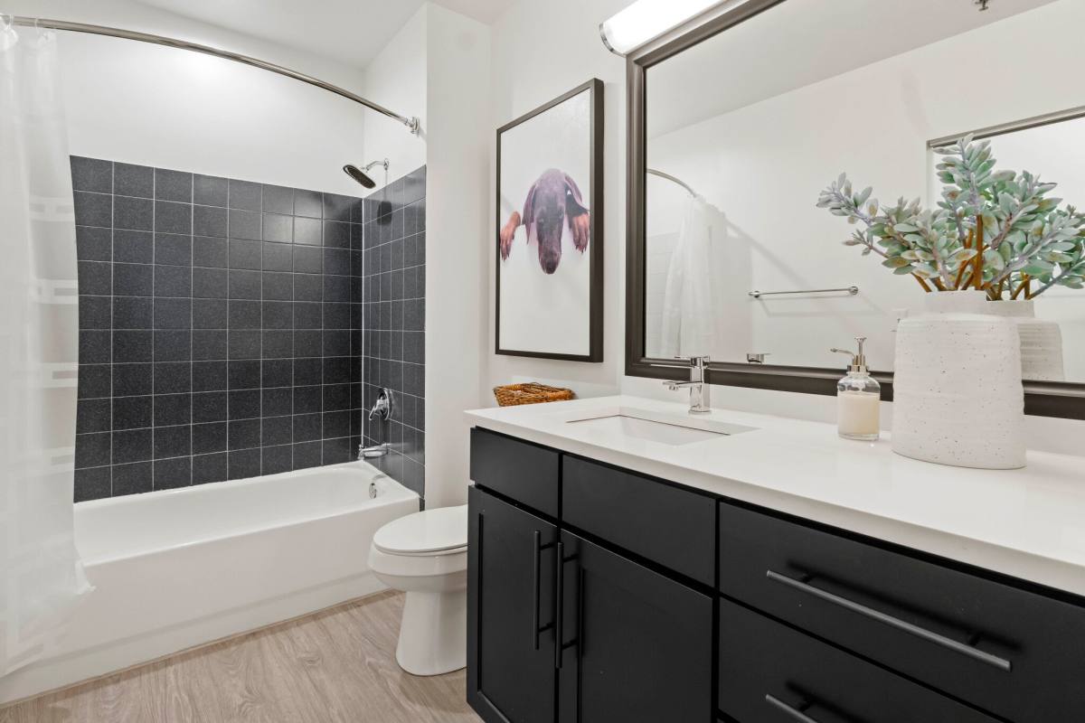 Apartment for rent at 1409 S State, Chicago, IL 60605