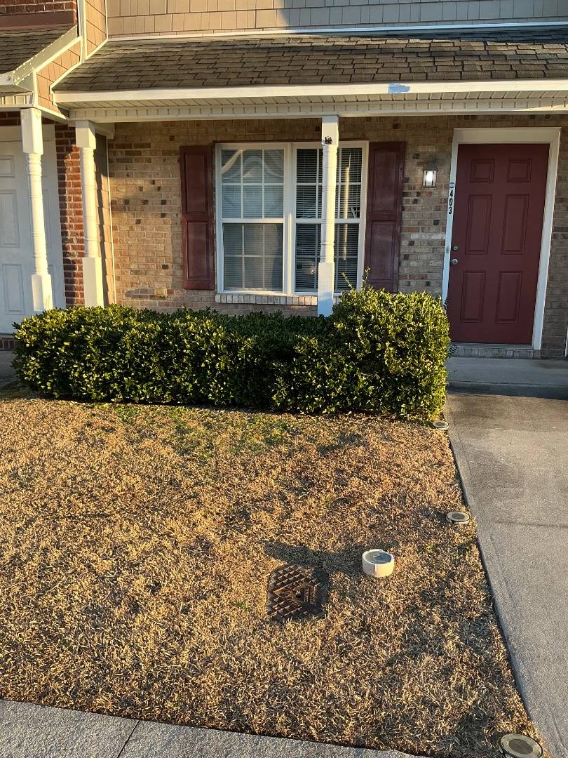 Townhouse for rent at 403 Springwood Dr, Jacksonville, NC 28546