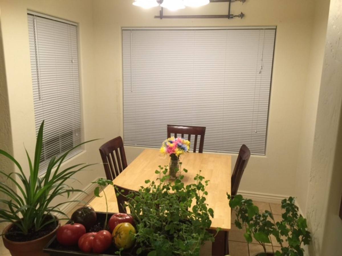House for rent at 3340 S Litzler, Flagstaff, AZ 86005