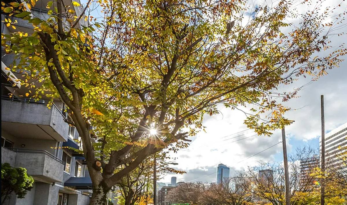 Apartment for rent at 1718 Melrose Ave, Seattle, WA 98122