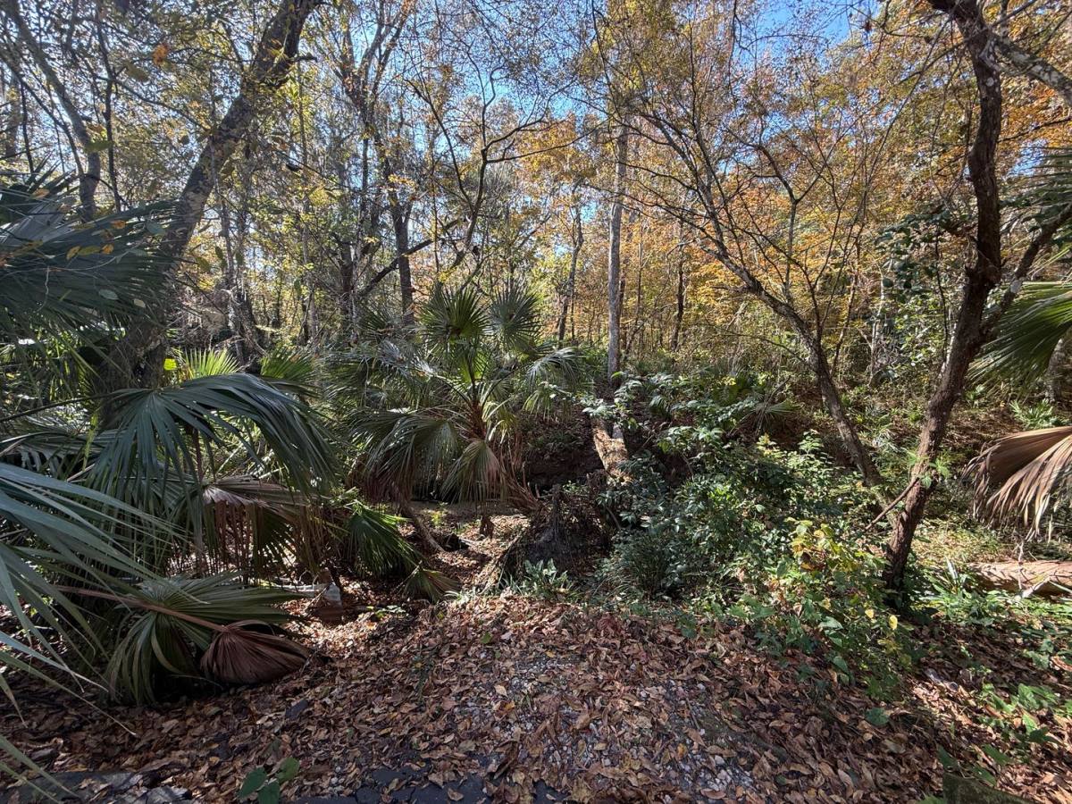 Condo for rent at 1515 NW 29th Rd, Gainesville, FL 32605