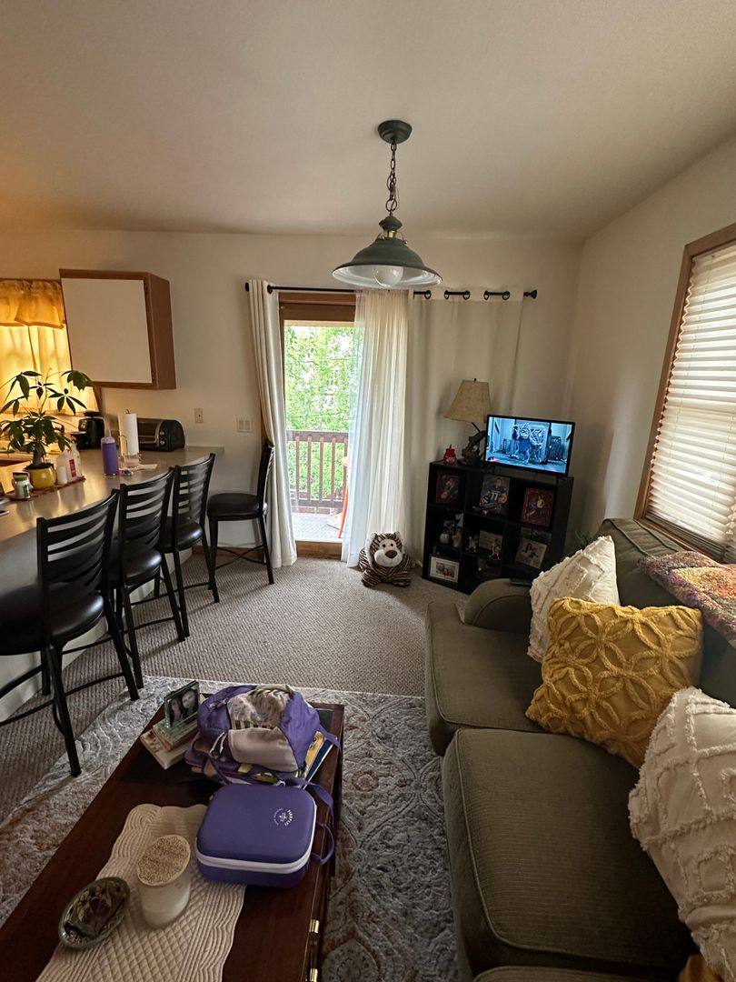 Apartment for rent at 765 Lincoln Ave, Carbondale, CO 81623
