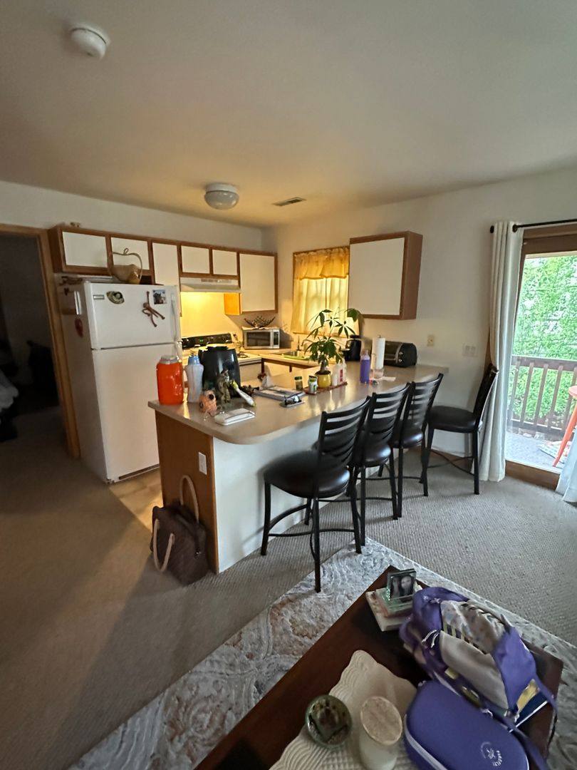 Apartment for rent at 765 Lincoln Ave, Carbondale, CO 81623