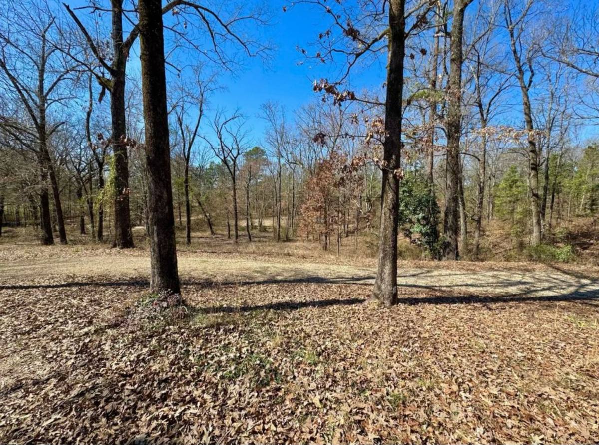 House for rent at 6226 Summerhill Rd, Texarkana, TX 75503