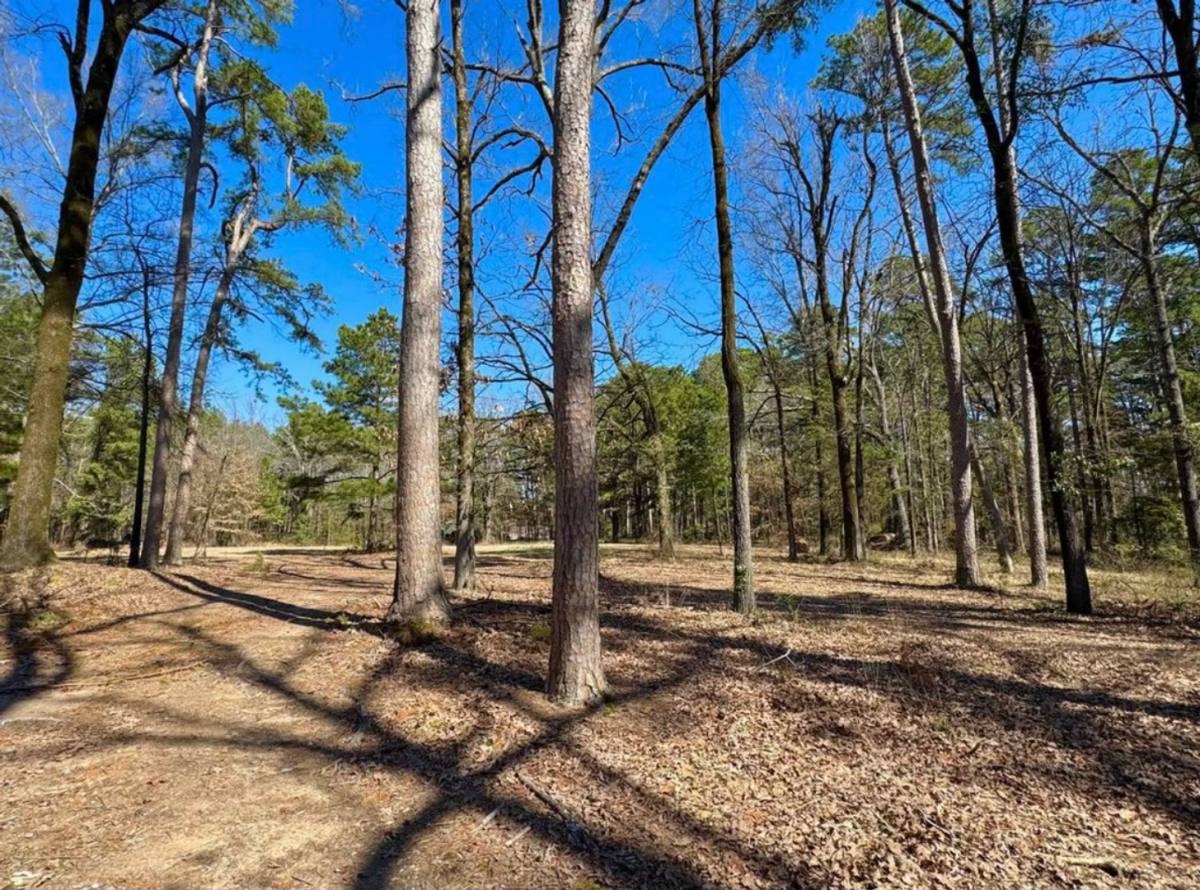 House for rent at 6226 Summerhill Rd, Texarkana, TX 75503