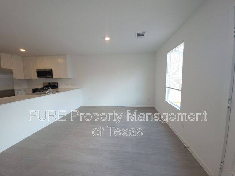 House for rent at 313 Stratus Lane, Hutto, TX 78634