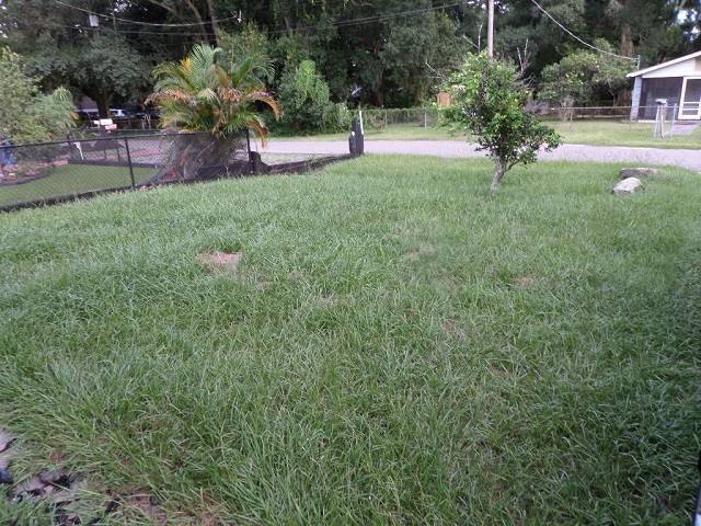 House for rent at 6914 Waycross Ave, Tampa, FL 33619
